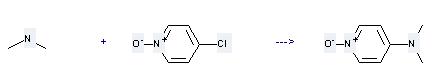 The 4-Dimethylaminopyridine N-oxide can be obtained by 4-Chloro-pyridine 1-oxide and Dimethylamine.